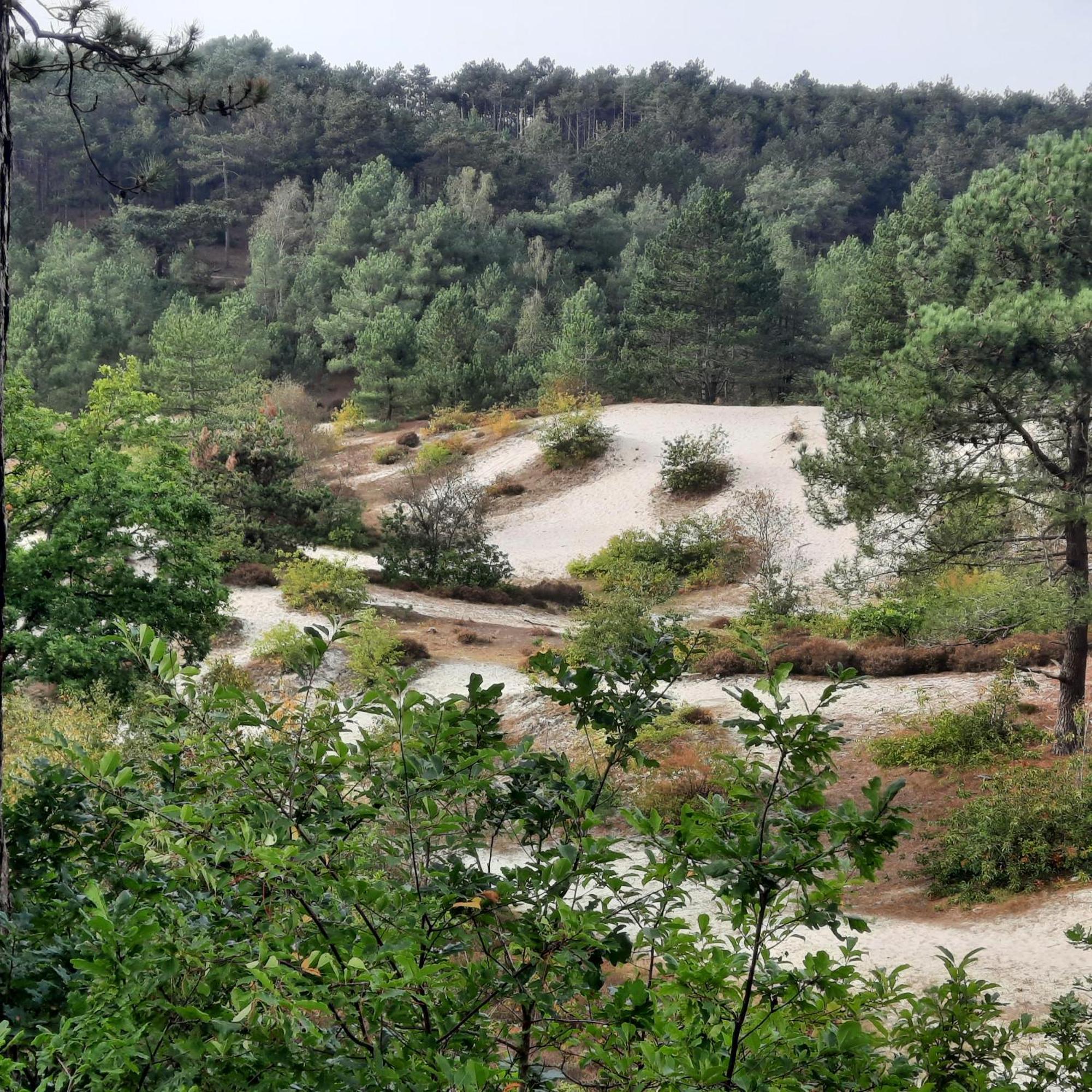 Meertje Villa 81 Op Recreatiepark De Wielen 신트 마르턴 외부 사진